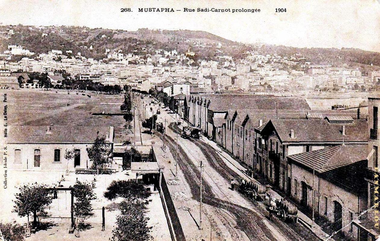 Alger-Mustapha - Rue Sadi-Carnot prolongee - 1904.jpg